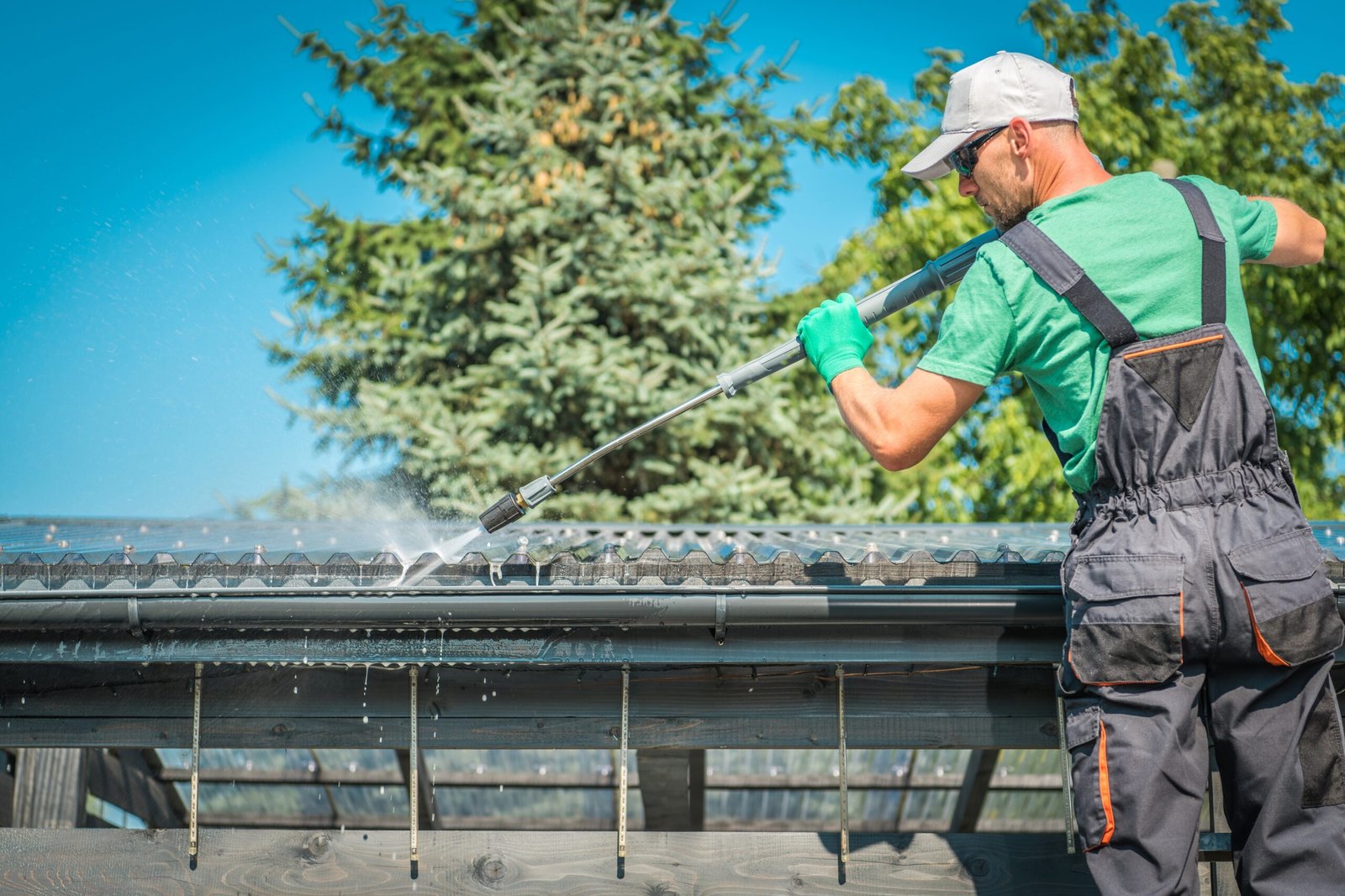 Roof cleaning in Simi Valley